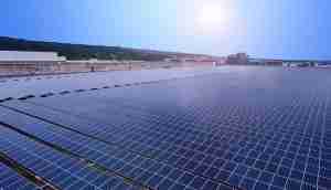 中美硅晶与森林舞会光电携手战略合作